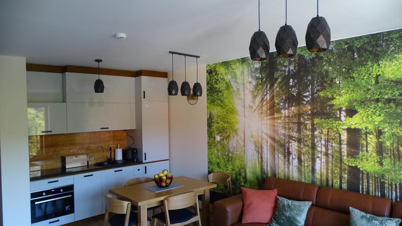 Apartament Delux 2 Szklarska Poręba Εξωτερικό φωτογραφία