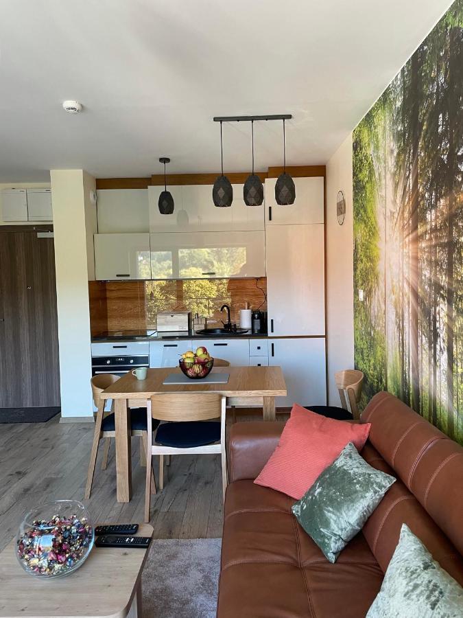 Apartament Delux 2 Szklarska Poręba Εξωτερικό φωτογραφία
