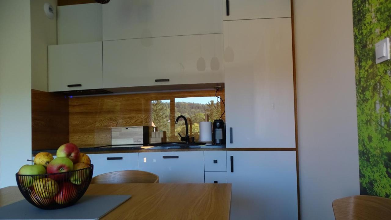 Apartament Delux 2 Szklarska Poręba Εξωτερικό φωτογραφία