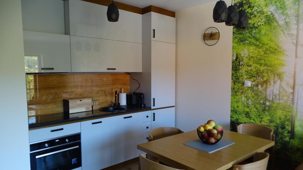 Apartament Delux 2 Szklarska Poręba Εξωτερικό φωτογραφία
